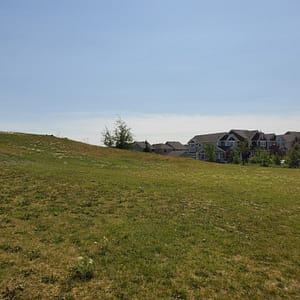 off leash area for your dogs