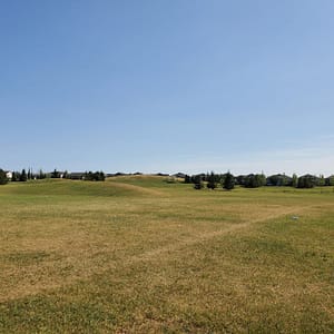 field with hills