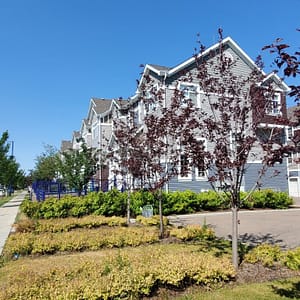 new townhouses