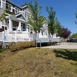 relaxing area with benches
