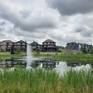 Windermere pond view