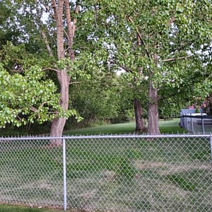 large open backyard