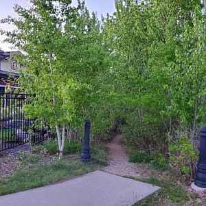 walking trail leading to forest area