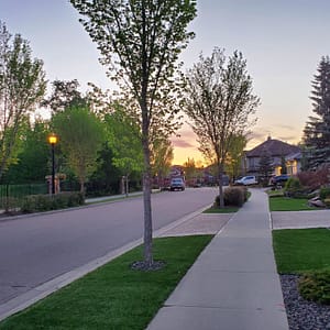 modern new large homes looking at park